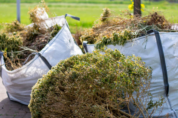 Best Garage Cleanout  in Theresa, WI